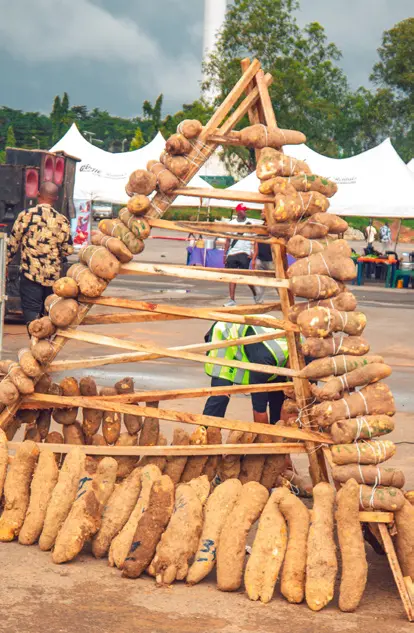 Yams arranged in a festival display